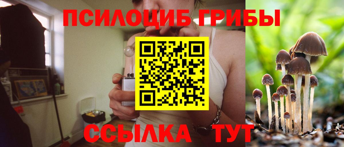 Вязьма  Псилоцибиновые грибы ЛСД  Вход с VPN 